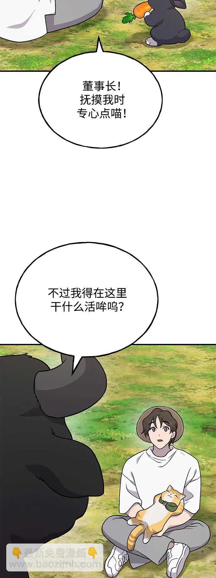 33.jpg