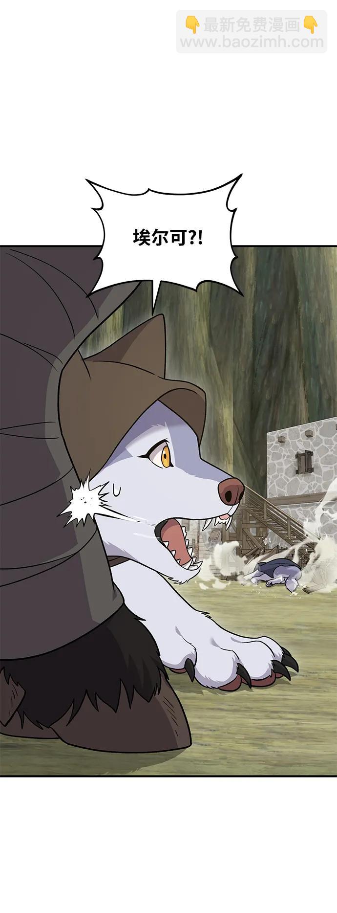 43.jpg