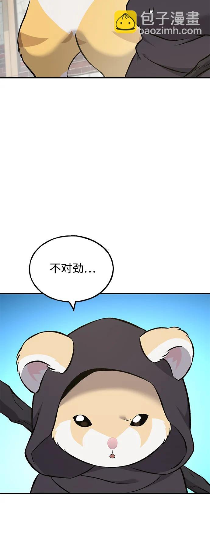 49.jpg