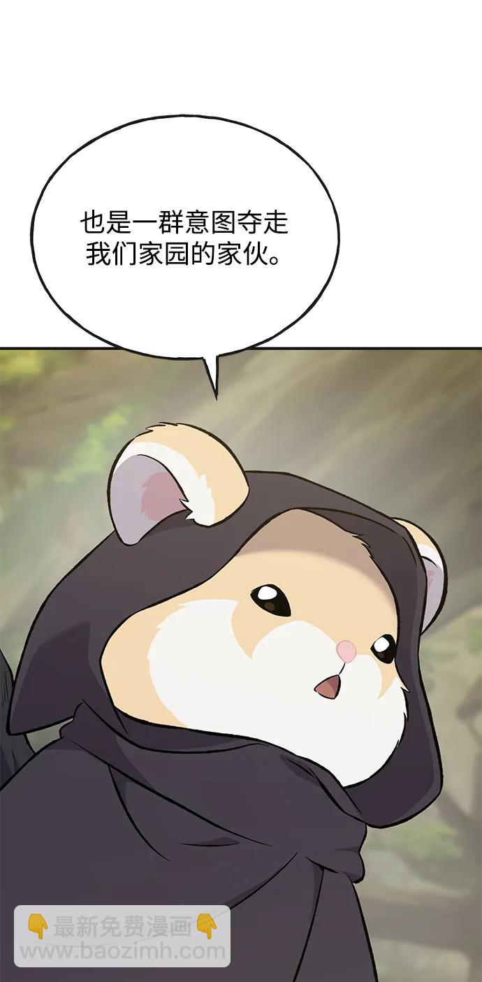 46.jpg