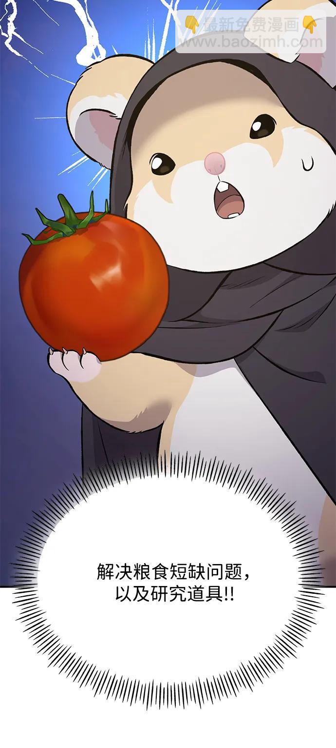 41.jpg