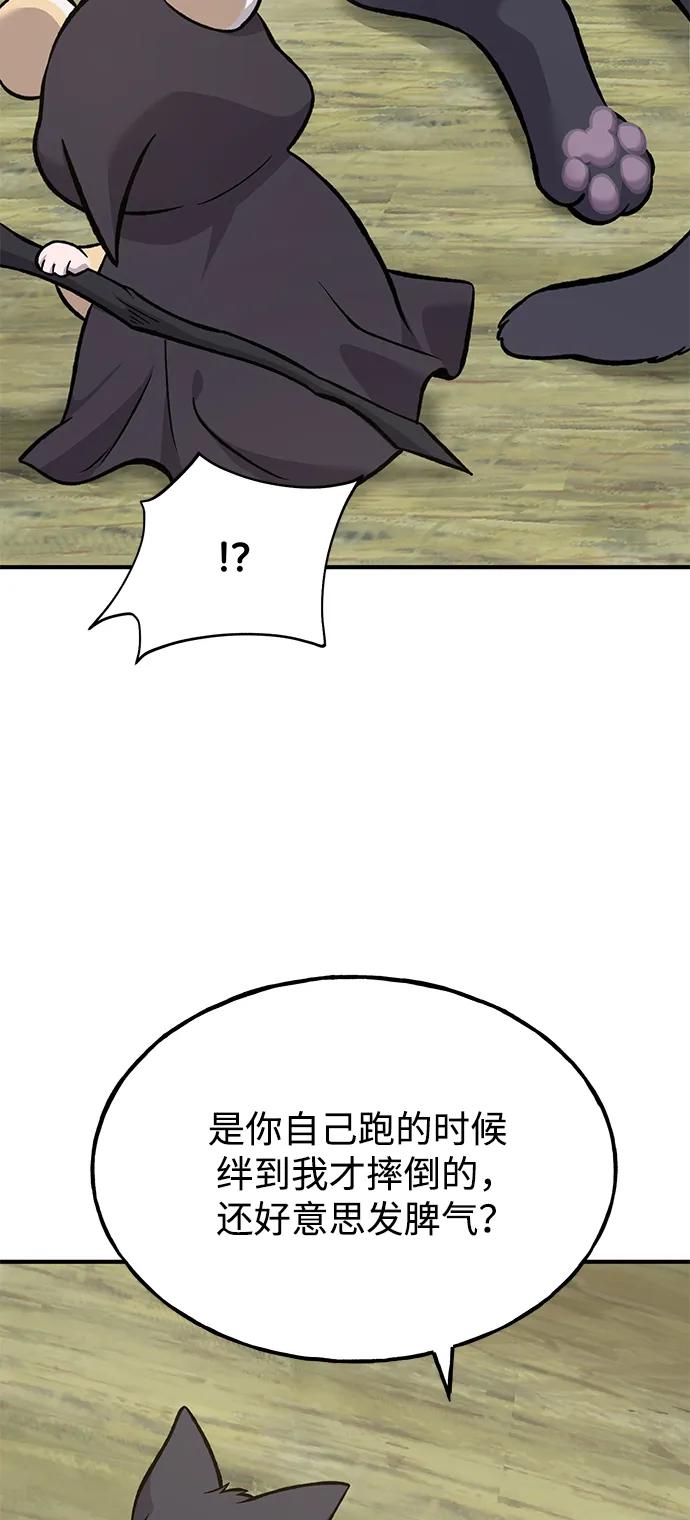 48.jpg