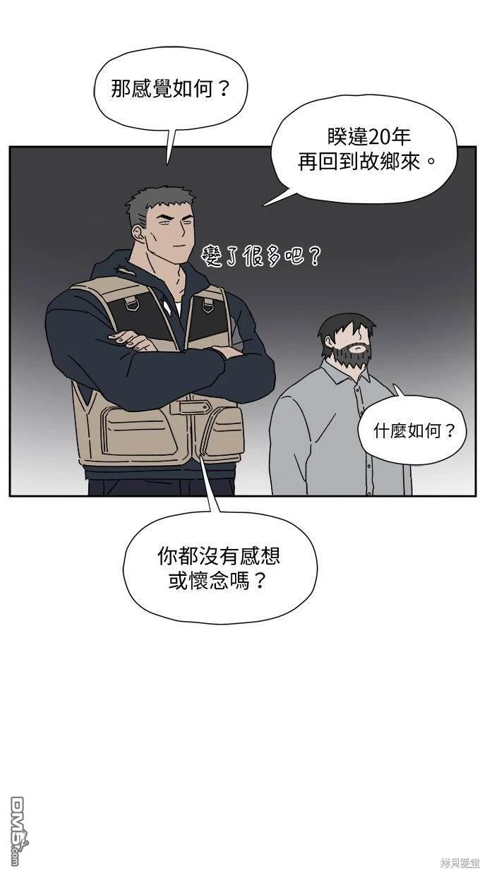 41.jpg