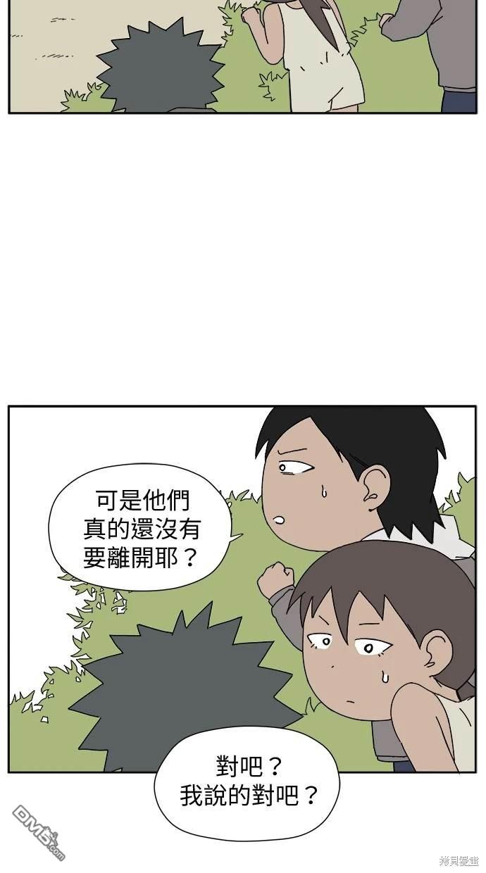41.jpg