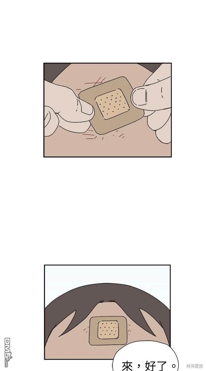 26.jpg