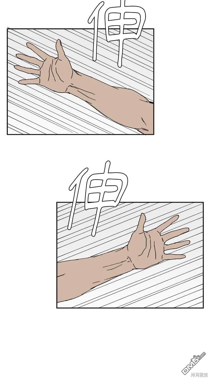41.jpg