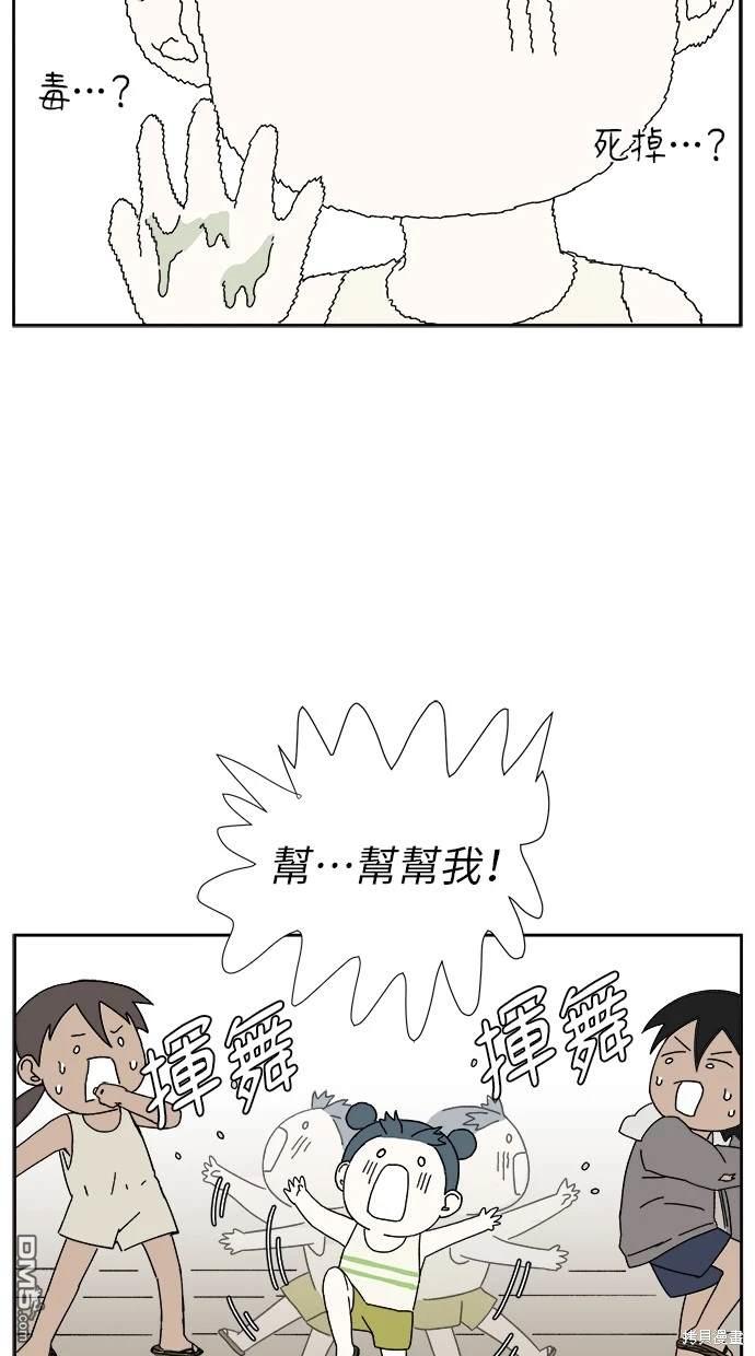 41.jpg