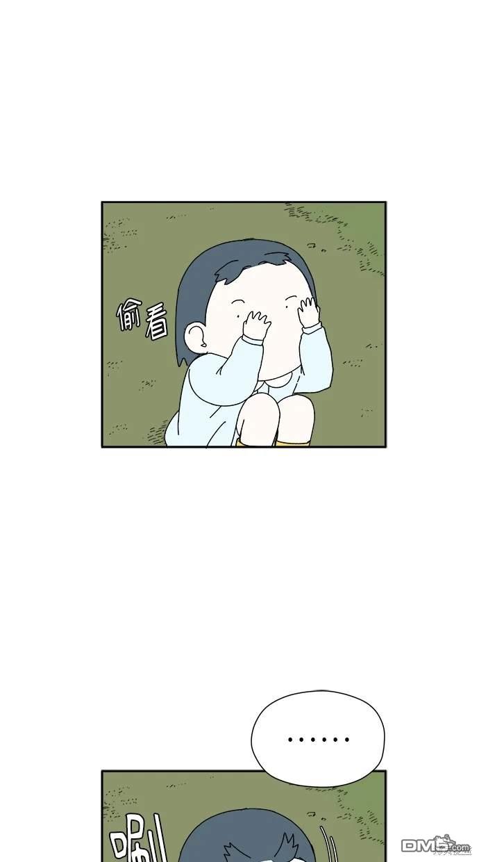 43.jpg