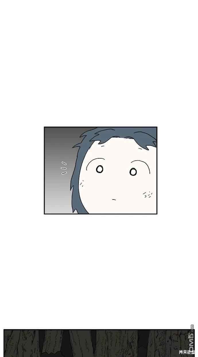 41.jpg