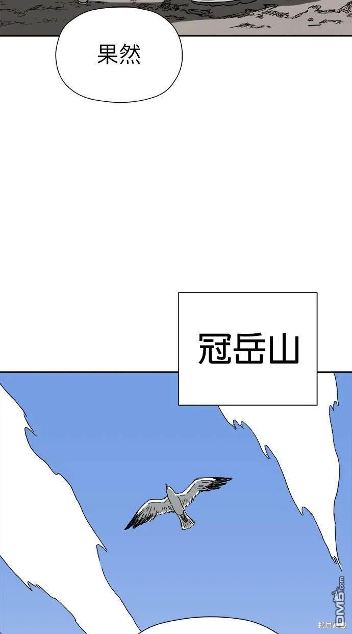 41.jpg