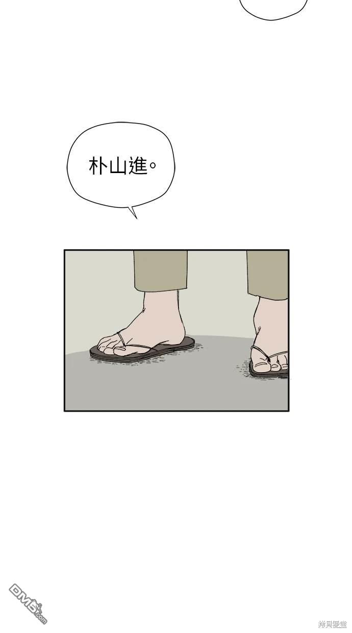 49.jpg