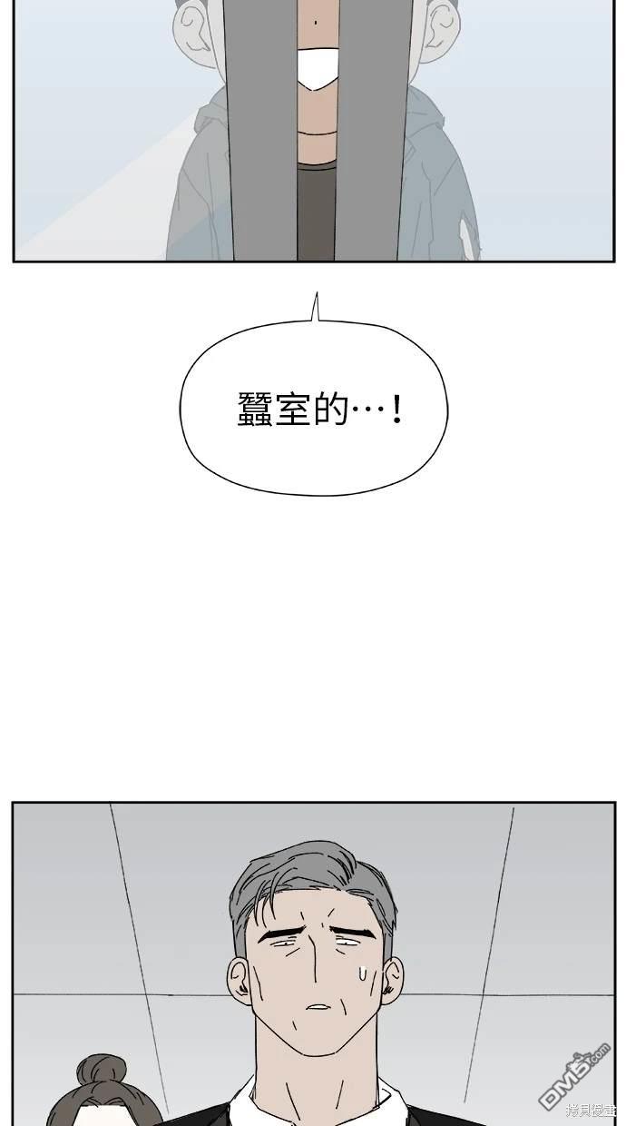 46.jpg