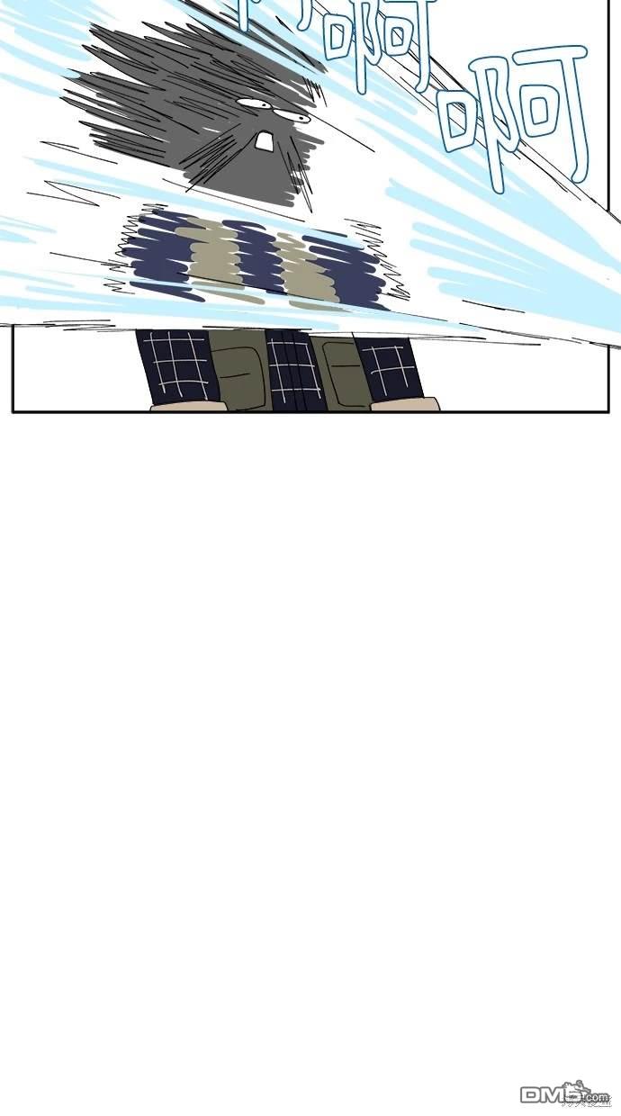 47.jpg