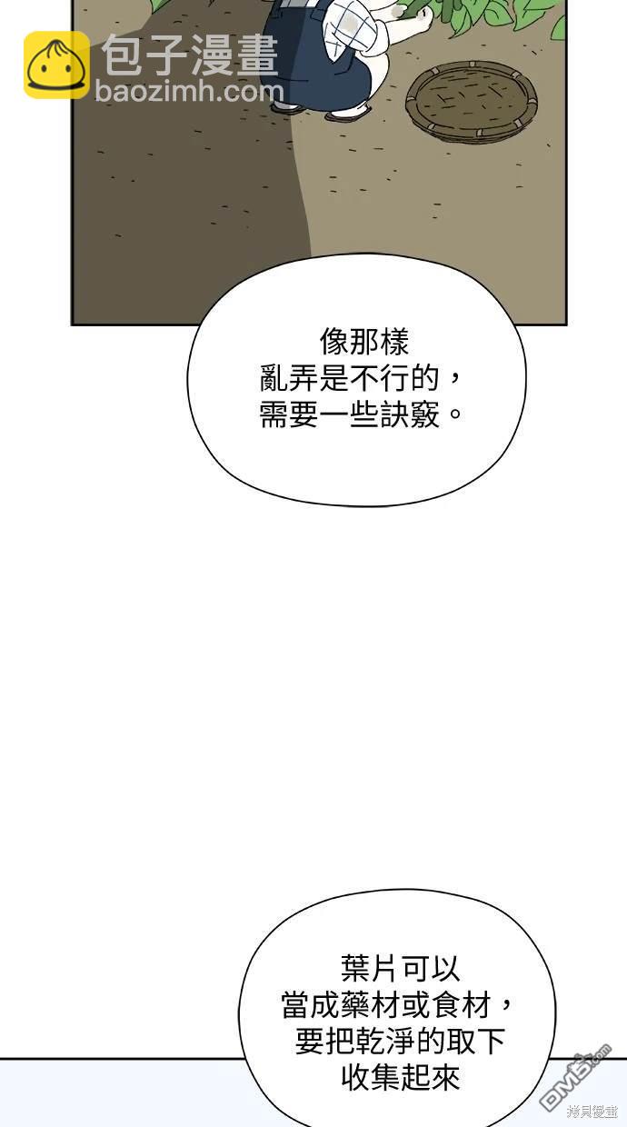 48.jpg