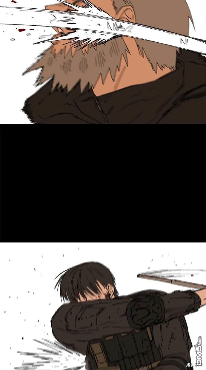 46.jpg