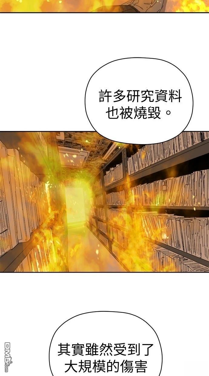 45.jpg