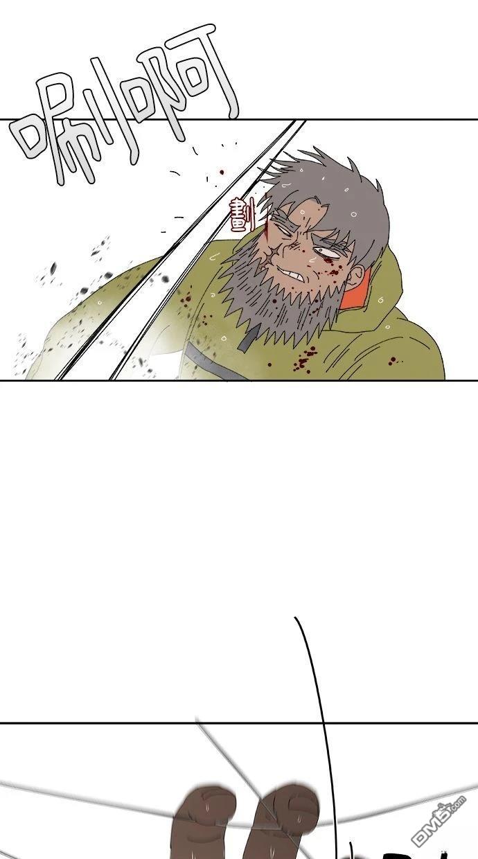 44.jpg