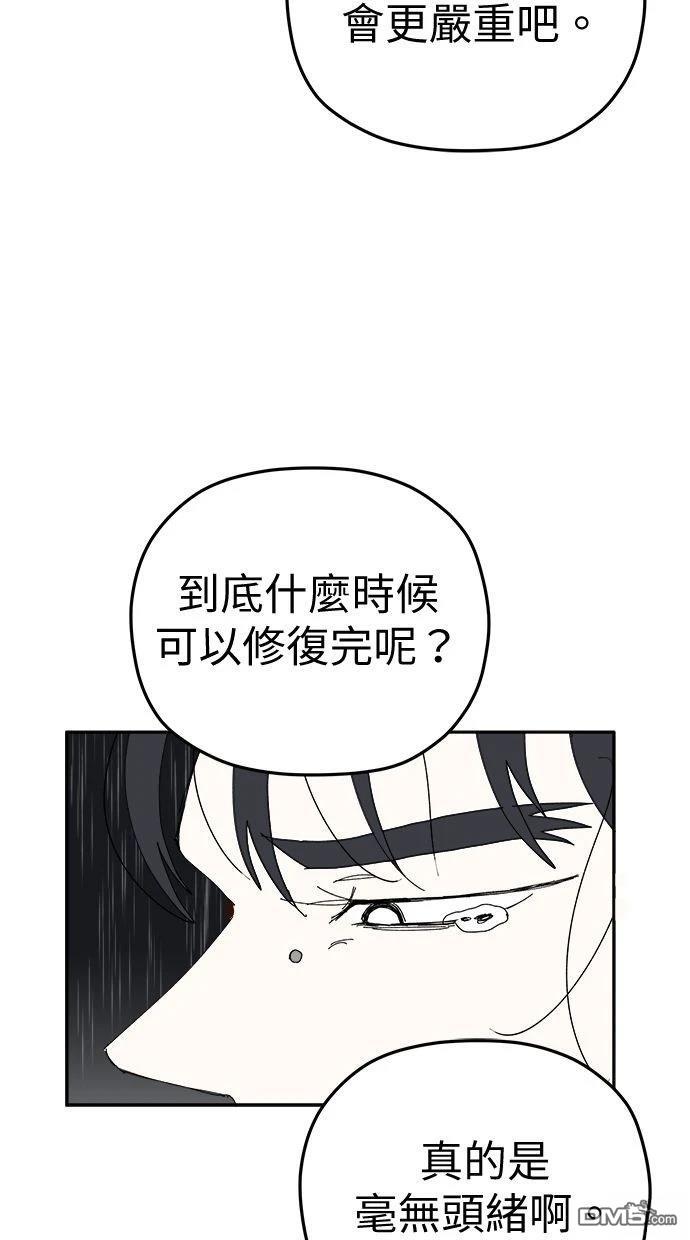 49.jpg