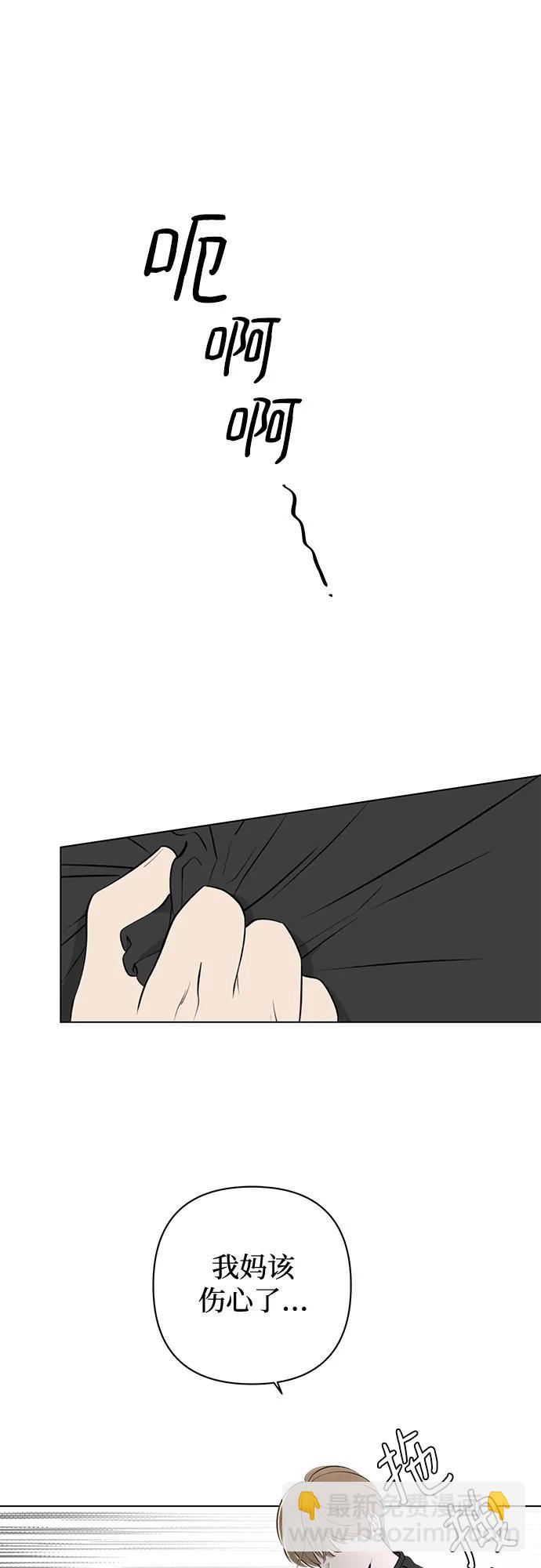 41.jpg