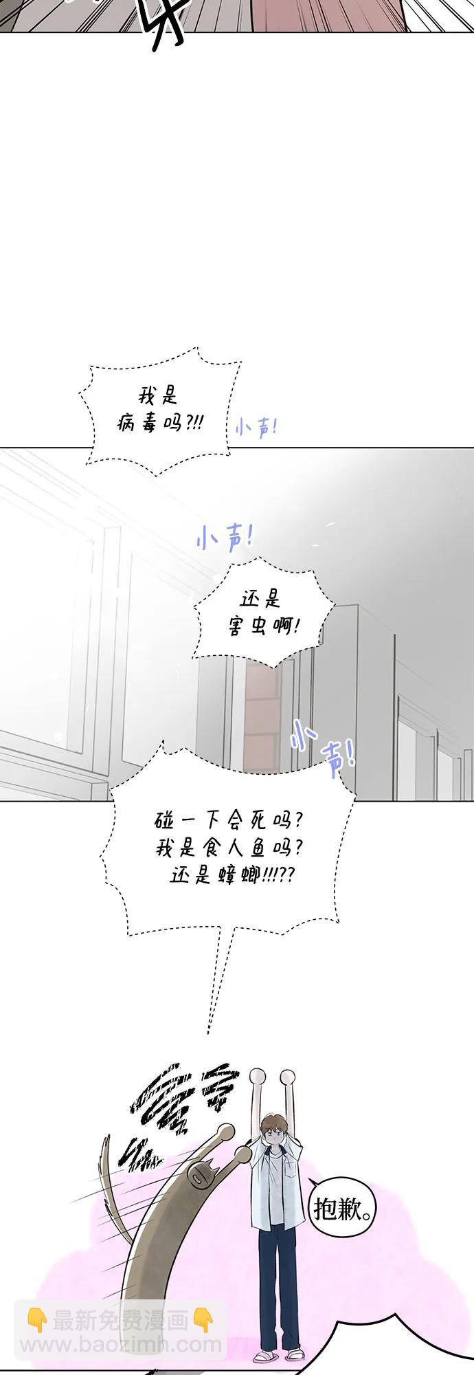 47.jpg