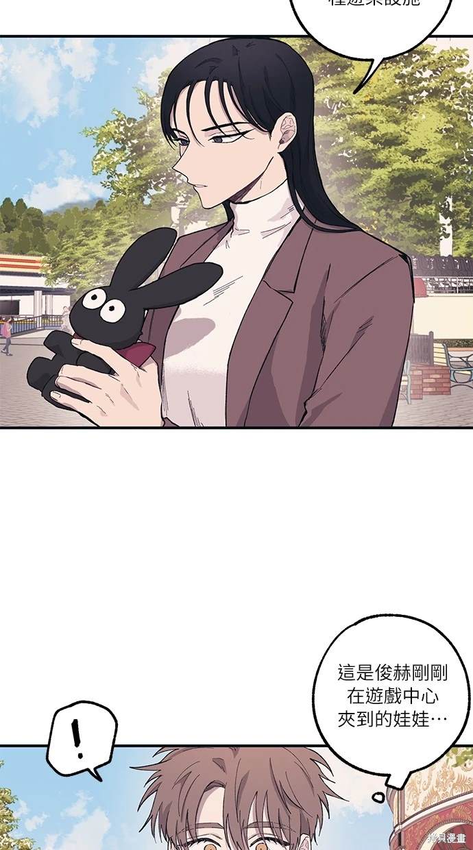 41.jpg