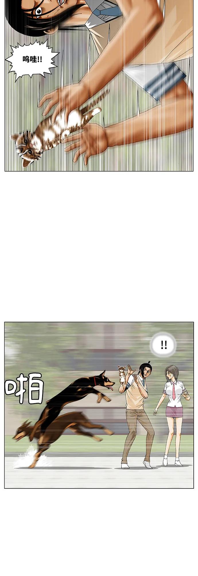 17.jpg