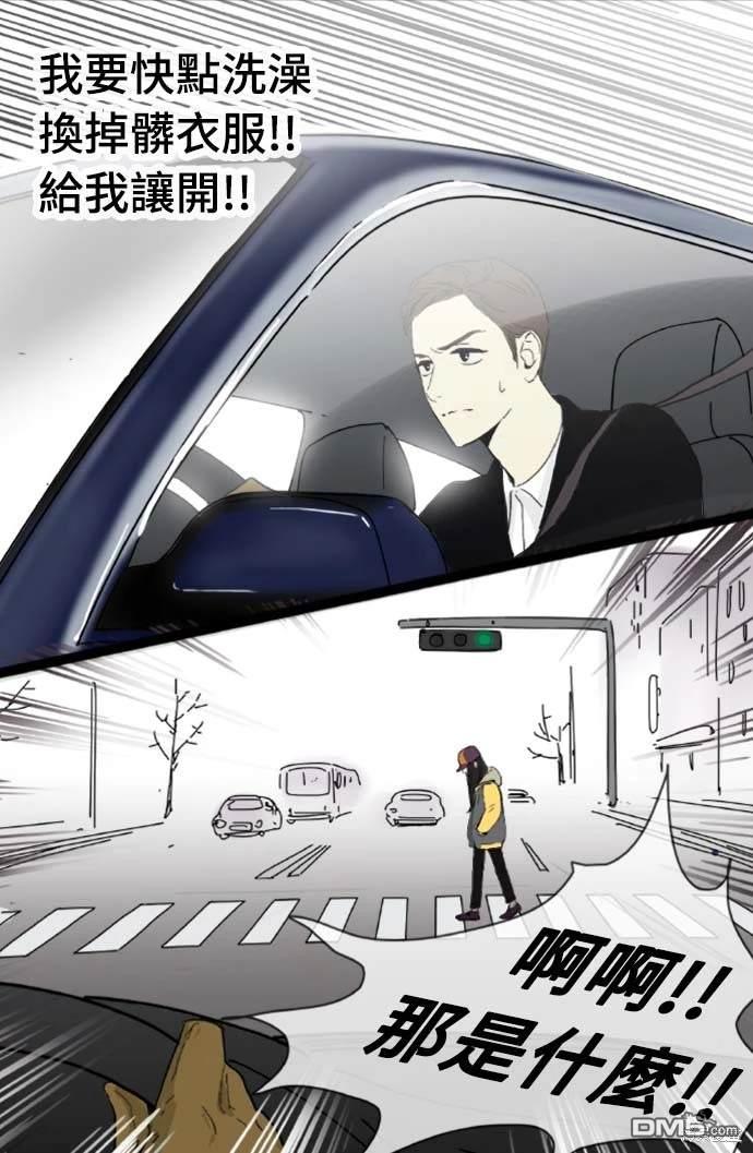 17.jpg