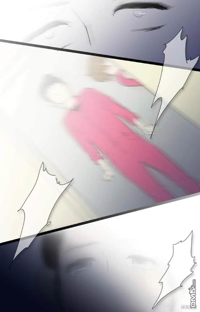 41.jpg