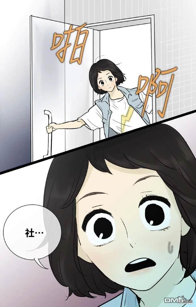 41.jpg