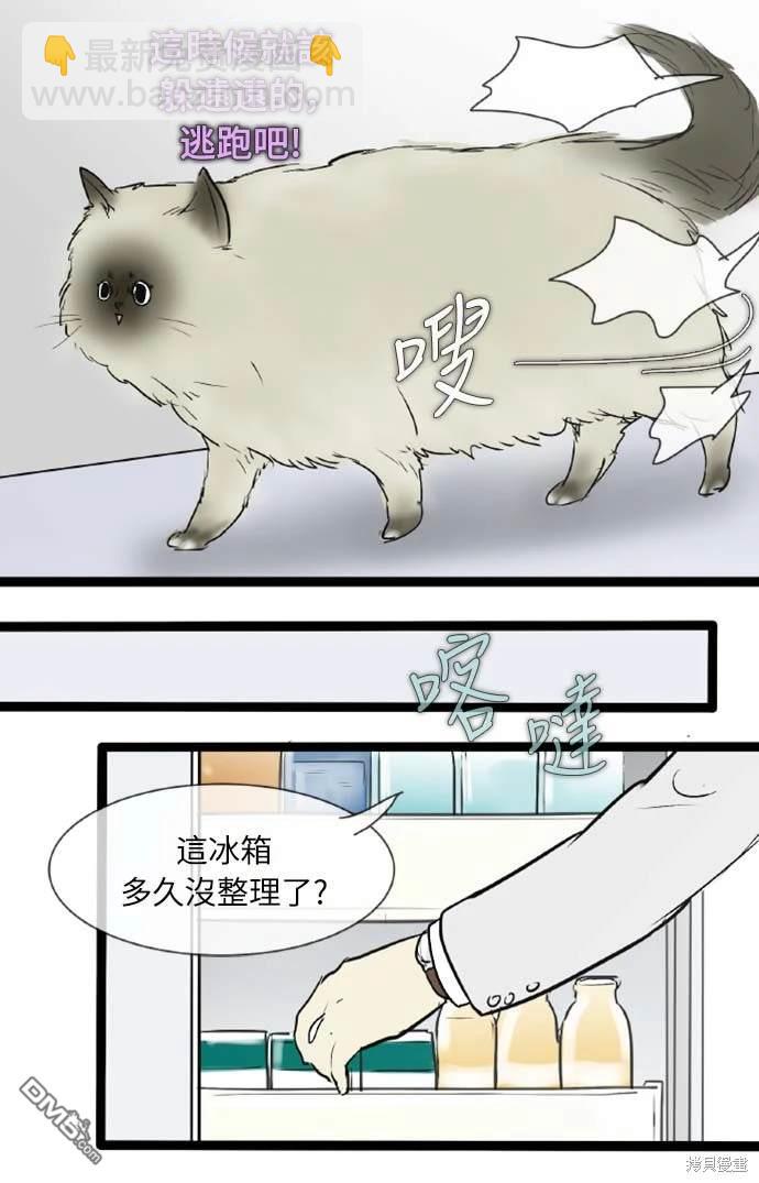 35.jpg