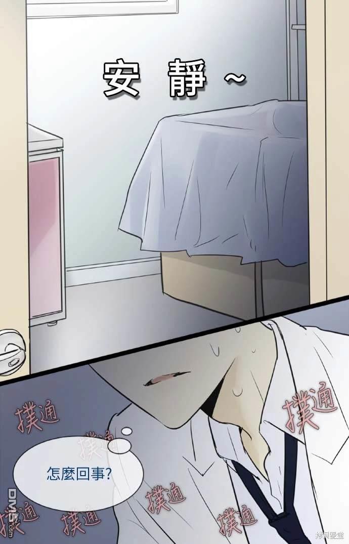 21.jpg