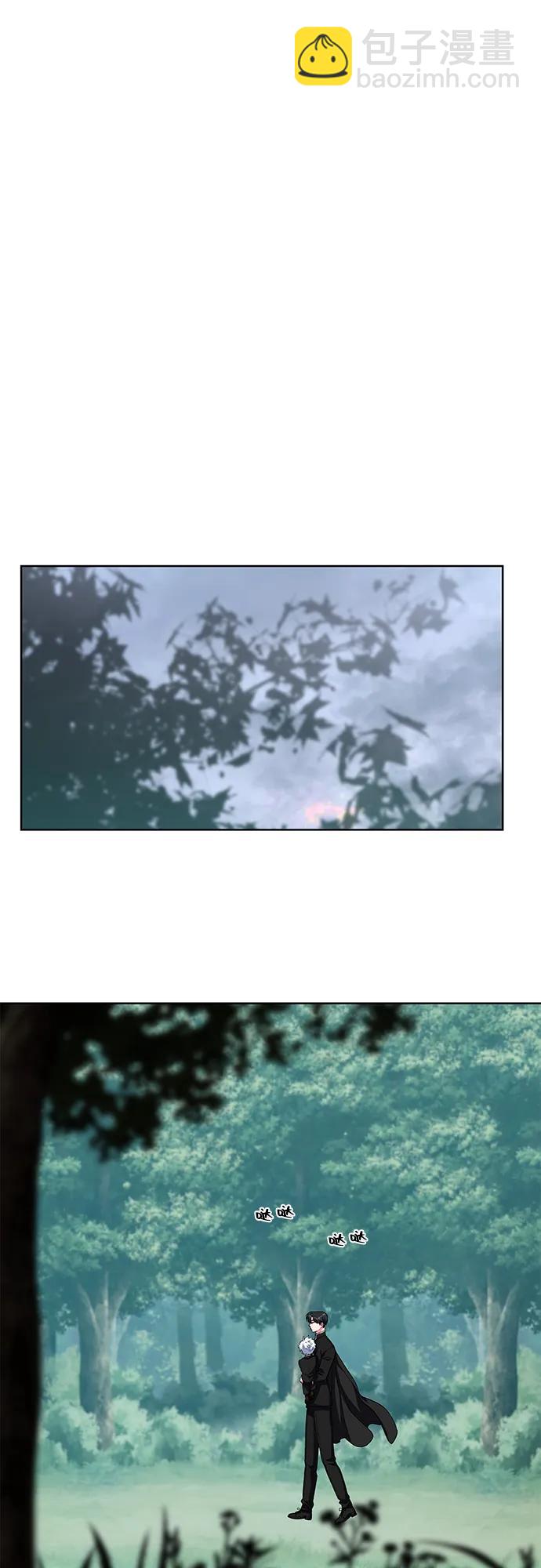 40.jpg