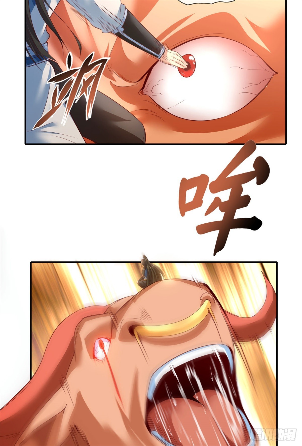 5.jpg