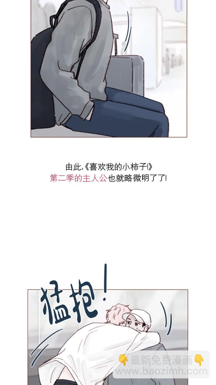 41.jpg