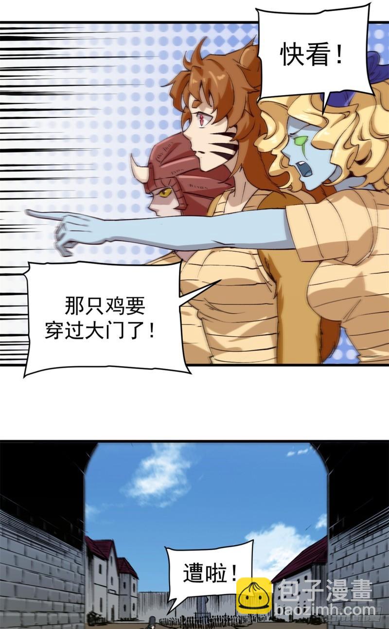 17.jpg