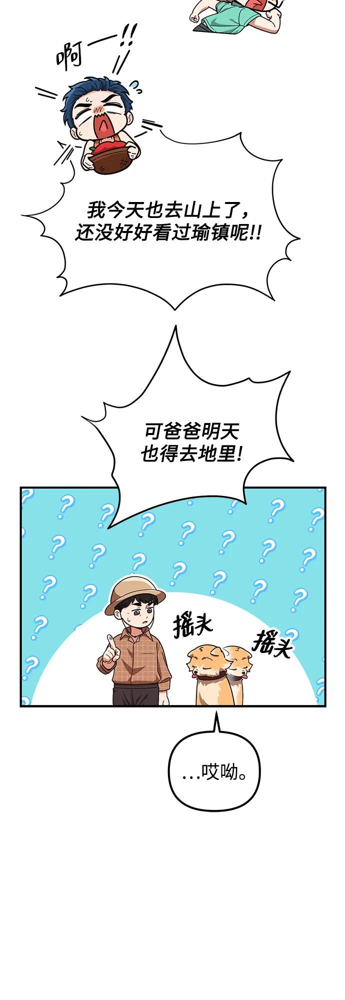 15.jpg