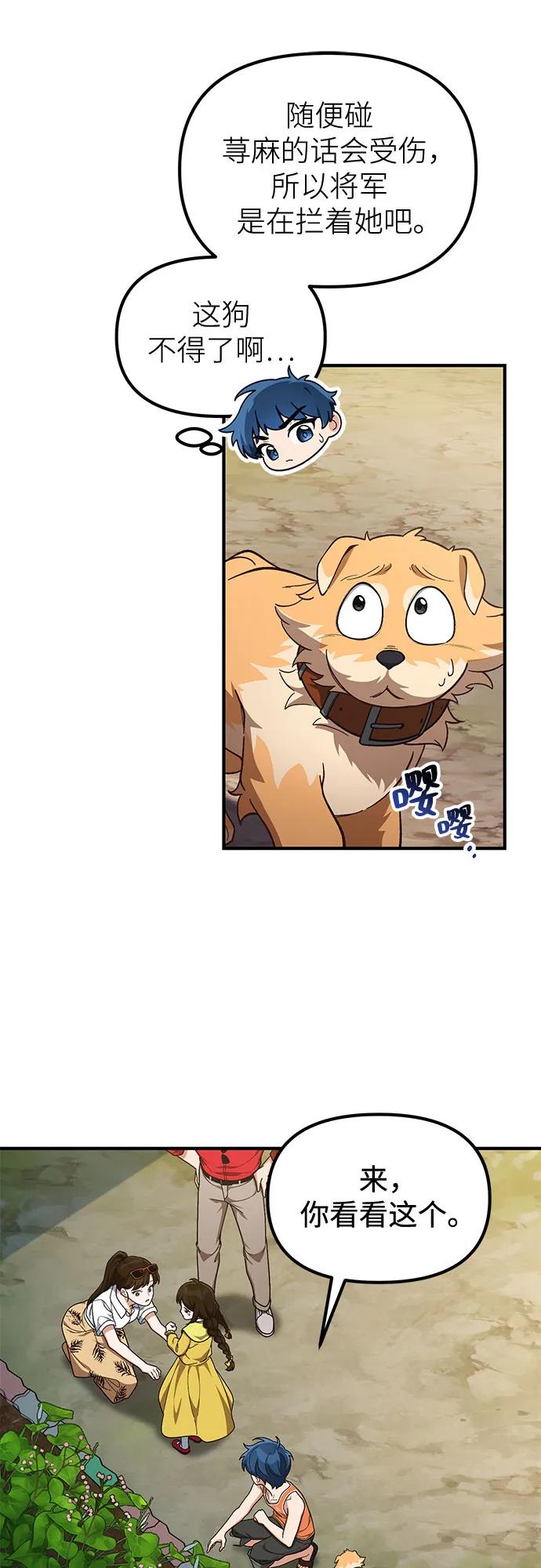 17.jpg