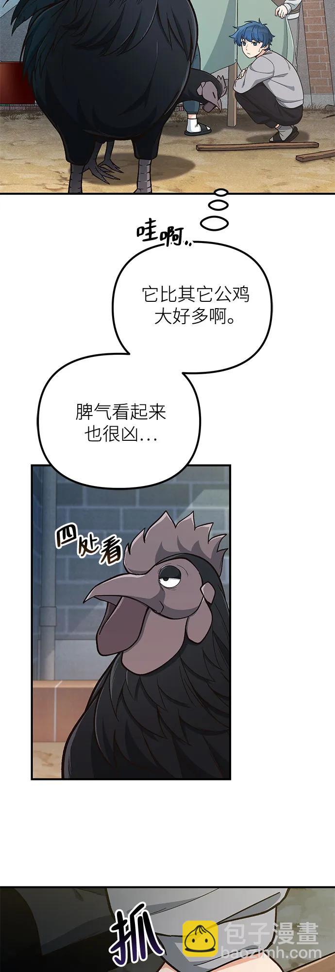 15.jpg