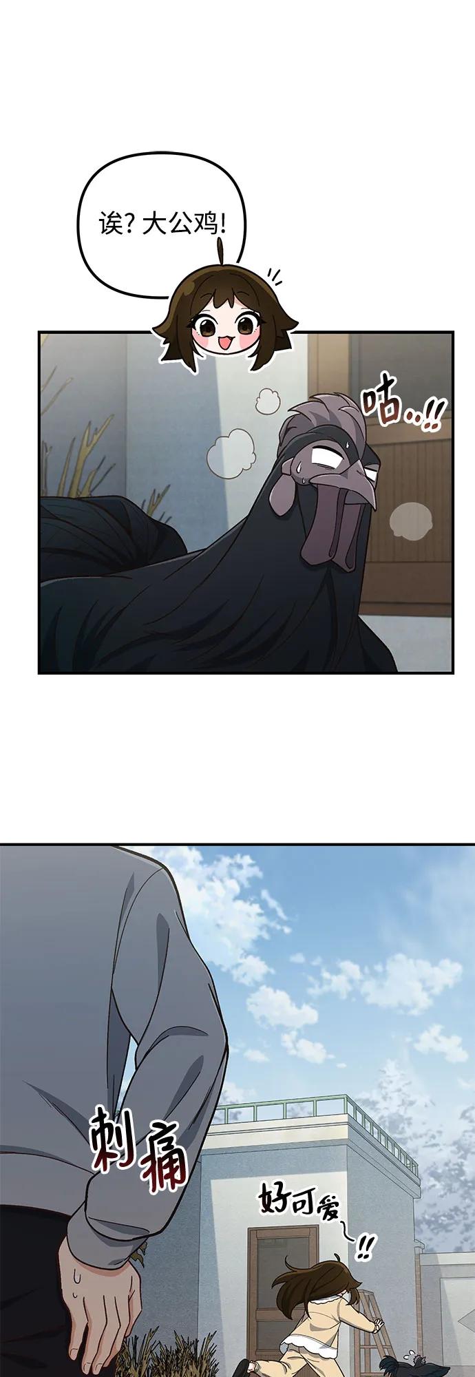 27.jpg