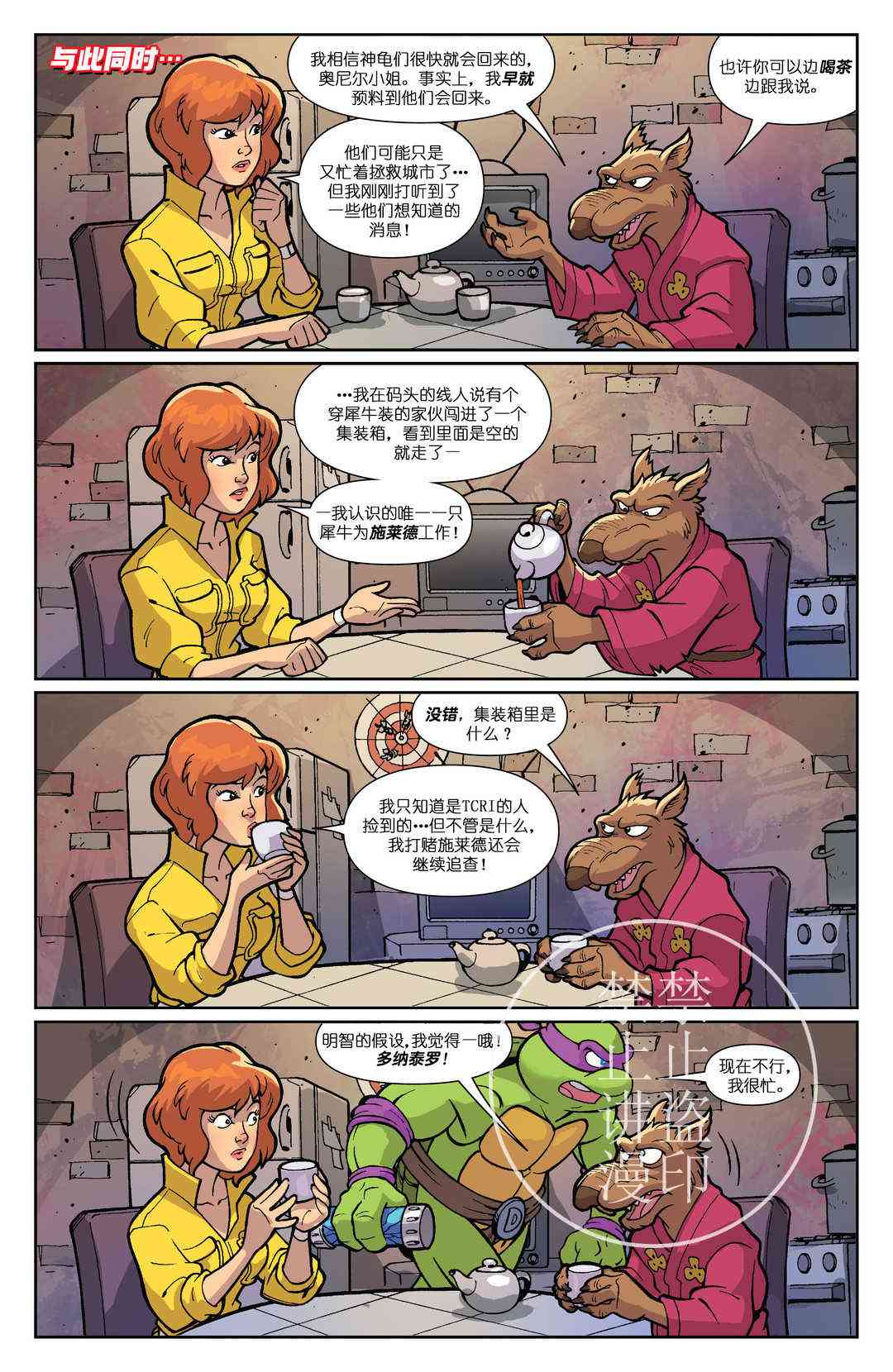 13.jpg