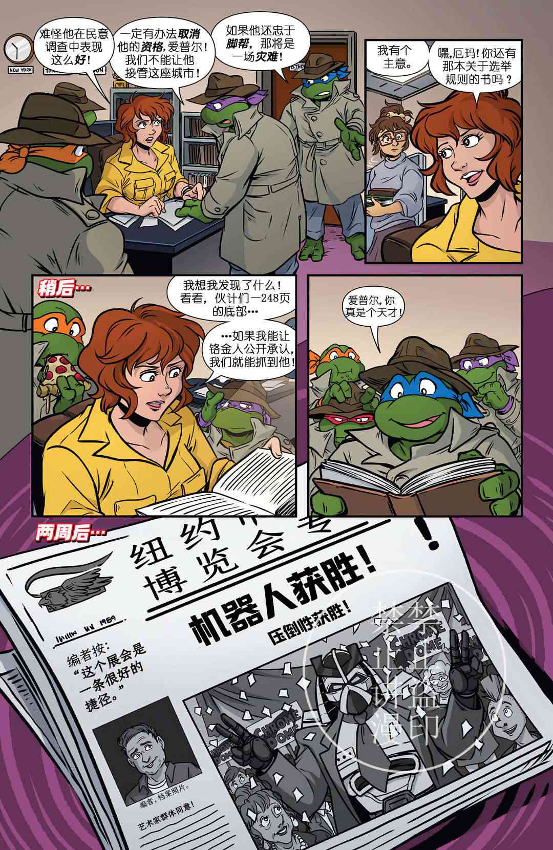 15.jpg