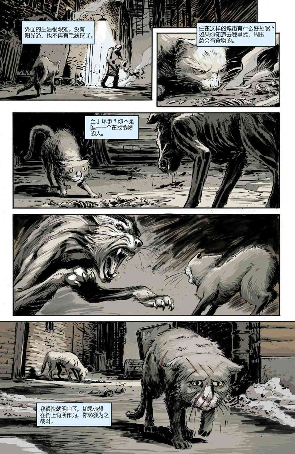 16.jpg