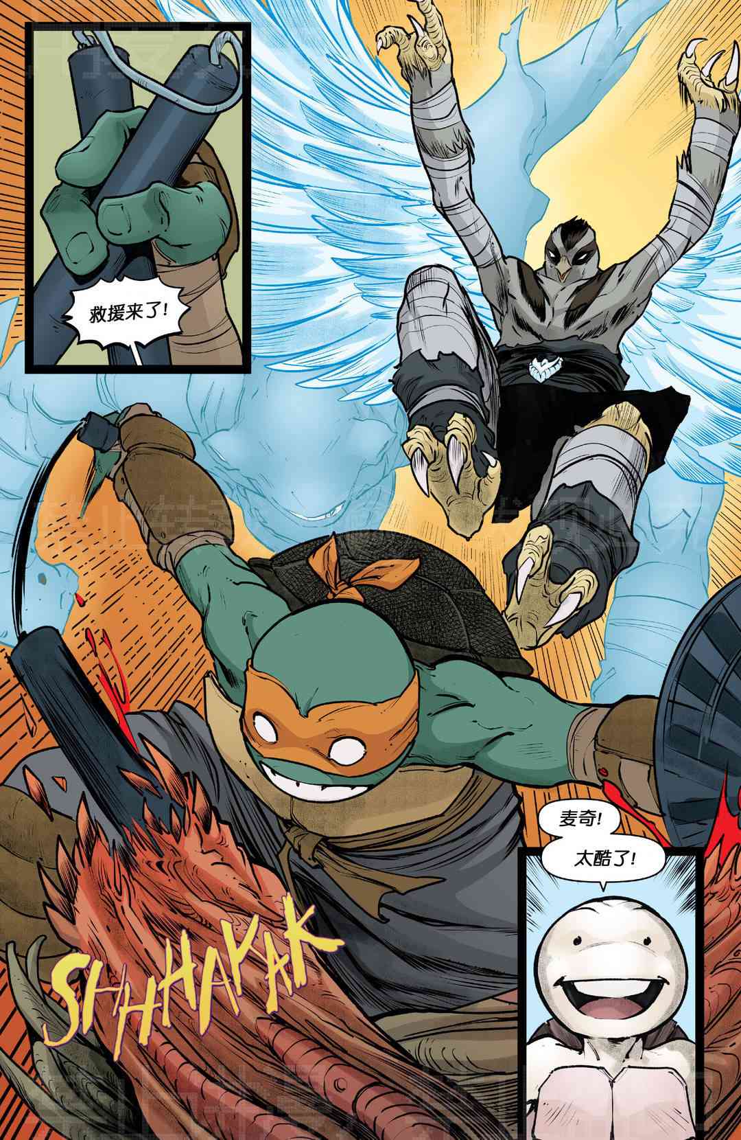 14.jpg