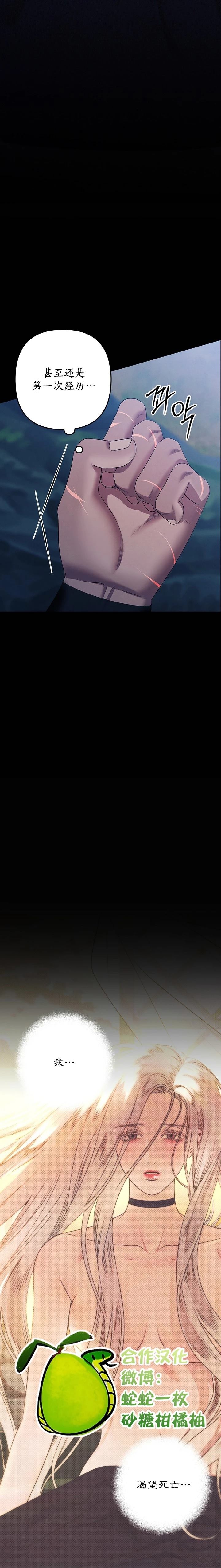27.jpg