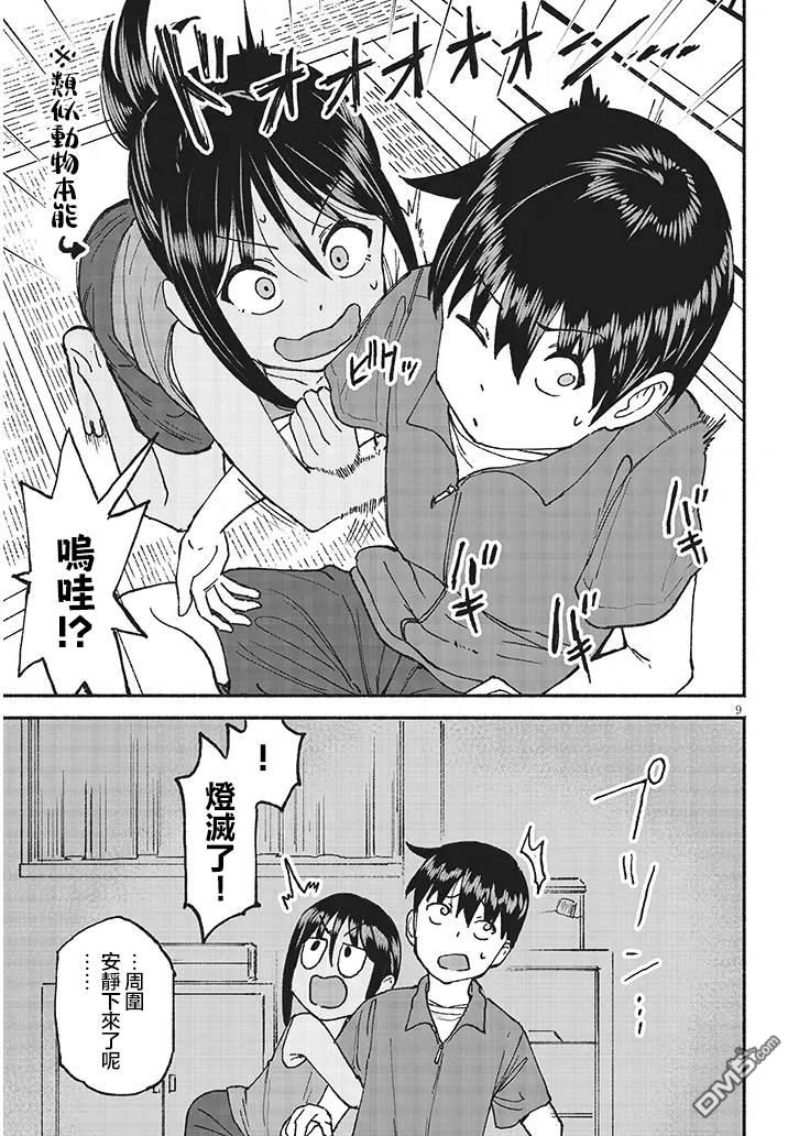 9.jpg