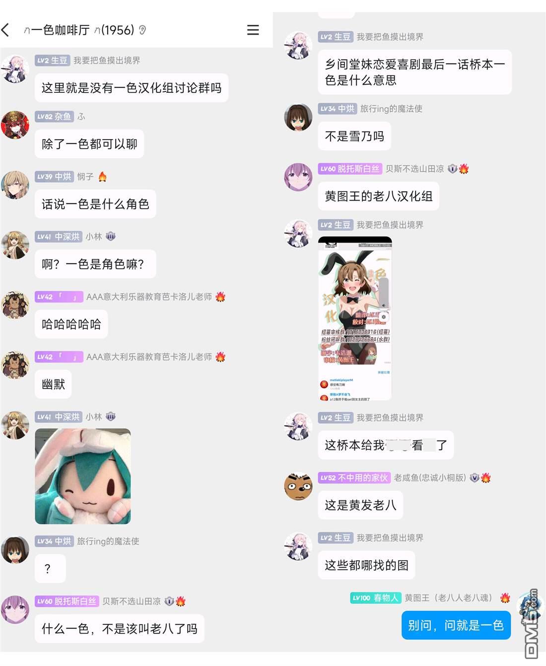 17.jpg