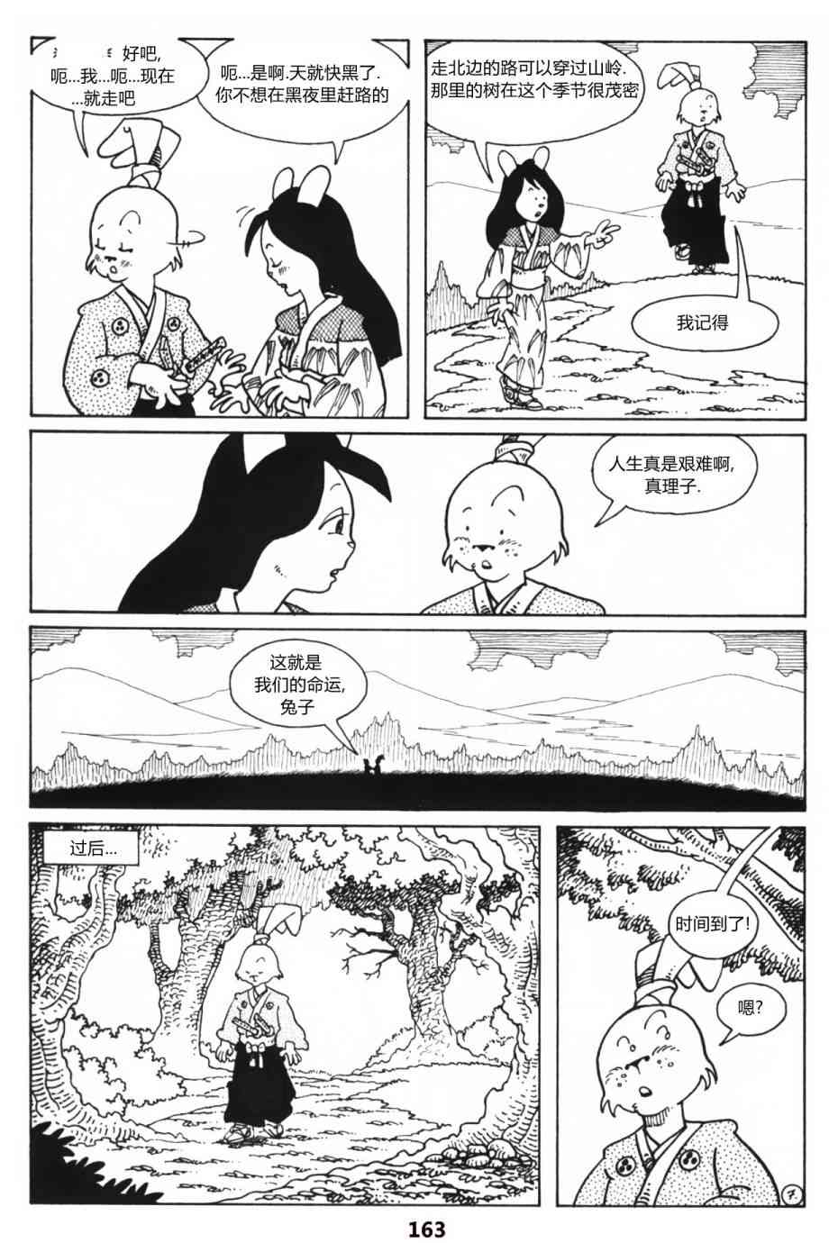 19.jpg
