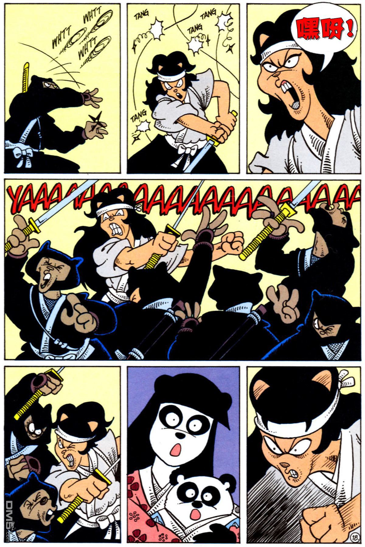 19.jpg