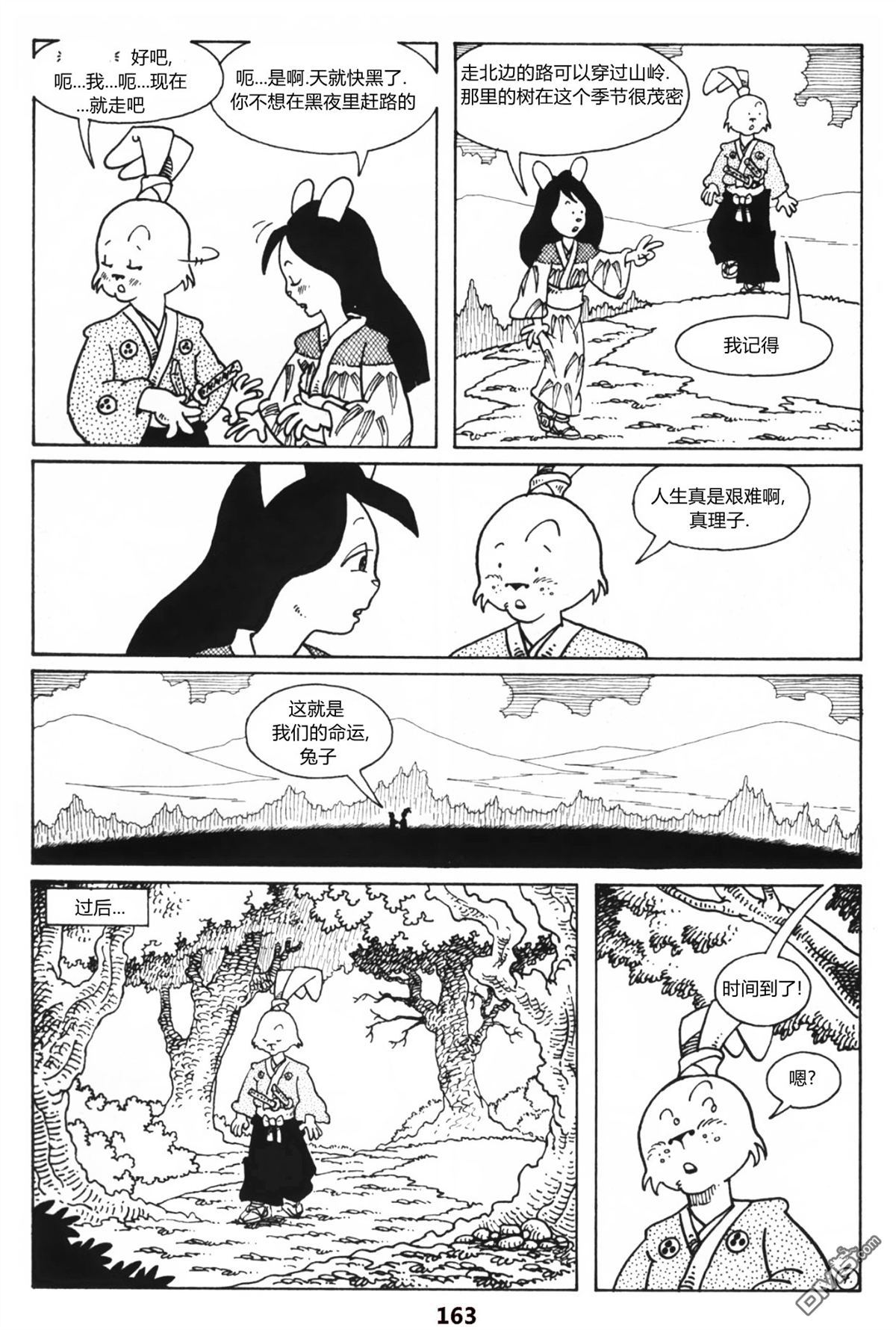 19.jpg