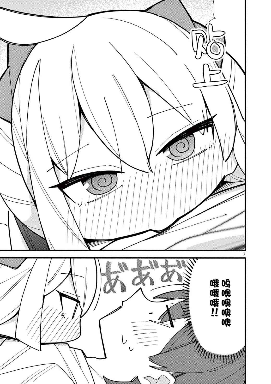 7.jpg